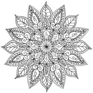 Meet your Posher, Emilee